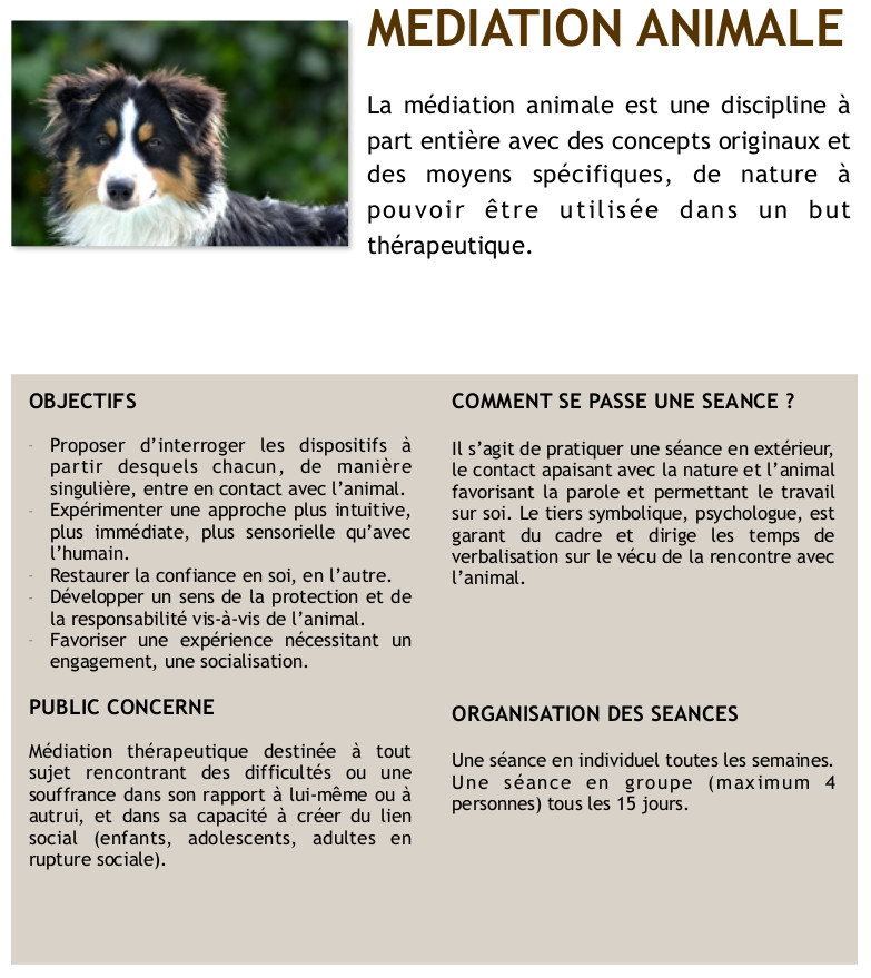 2016-AFFICHE MEDIATION ANIMALE